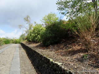 Monte Serra